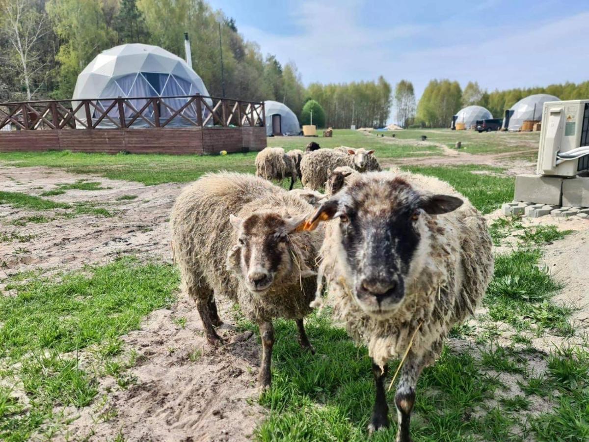 Ranczo Panderossa Villa Szczecinek Bagian luar foto